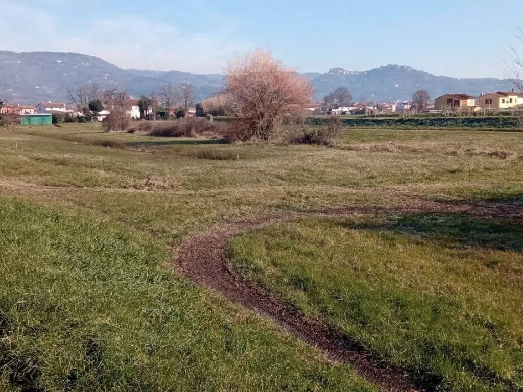 Terreno a Buggiano in Borgo A Buggiano S.N.C. - Foto 2