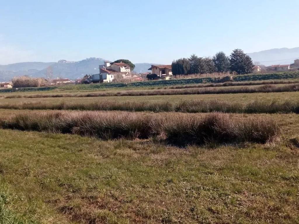 Terreno a Buggiano in Borgo A Buggiano S.N.C. - Foto 3