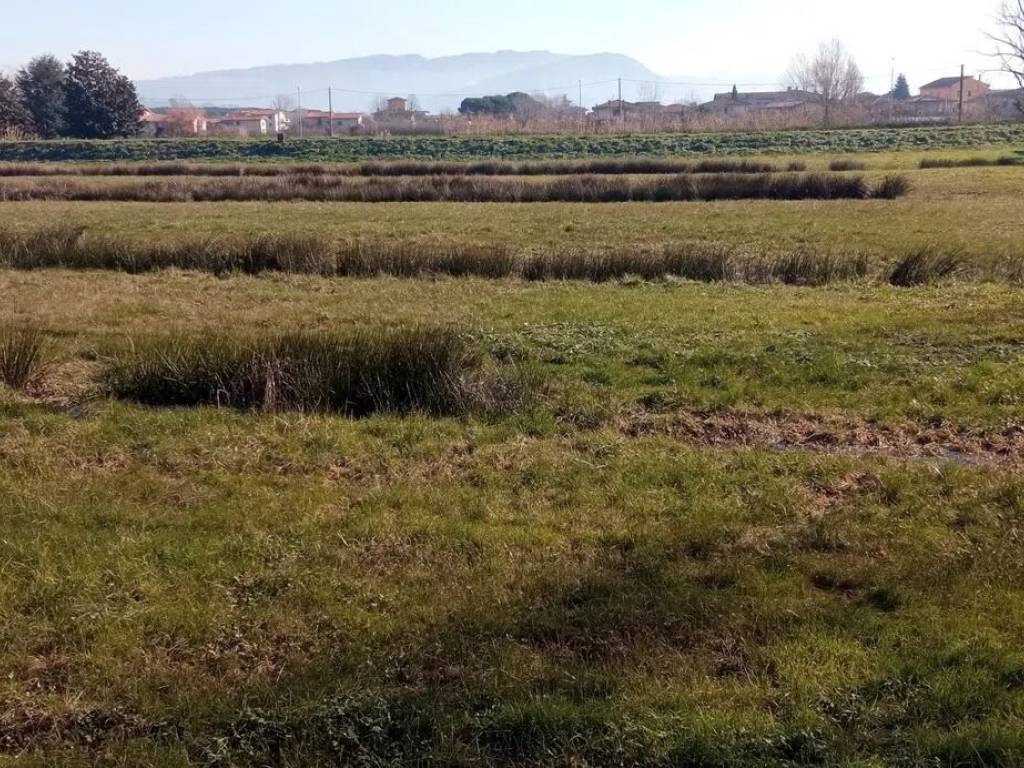 Terreno a Buggiano in Borgo A Buggiano S.N.C. - Foto 4