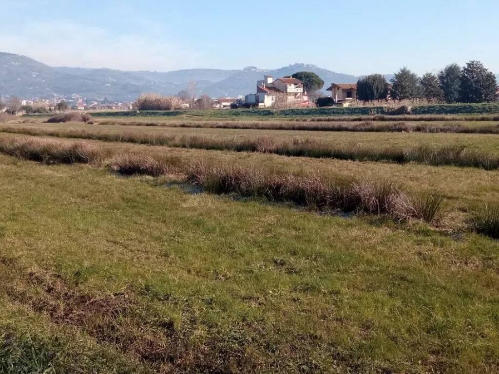 Terreno a Buggiano in Borgo A Buggiano S.N.C. - Foto 5