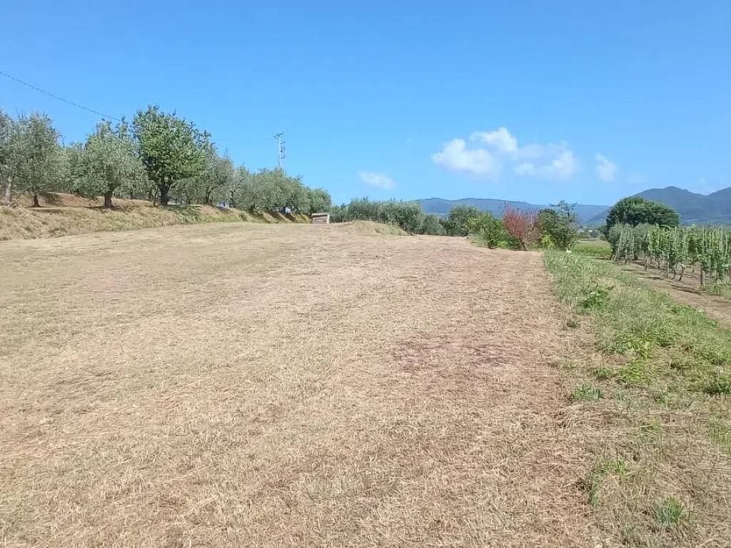 Terreno a Pescia in Via Delle Puzzole S.N.C. - Foto 2