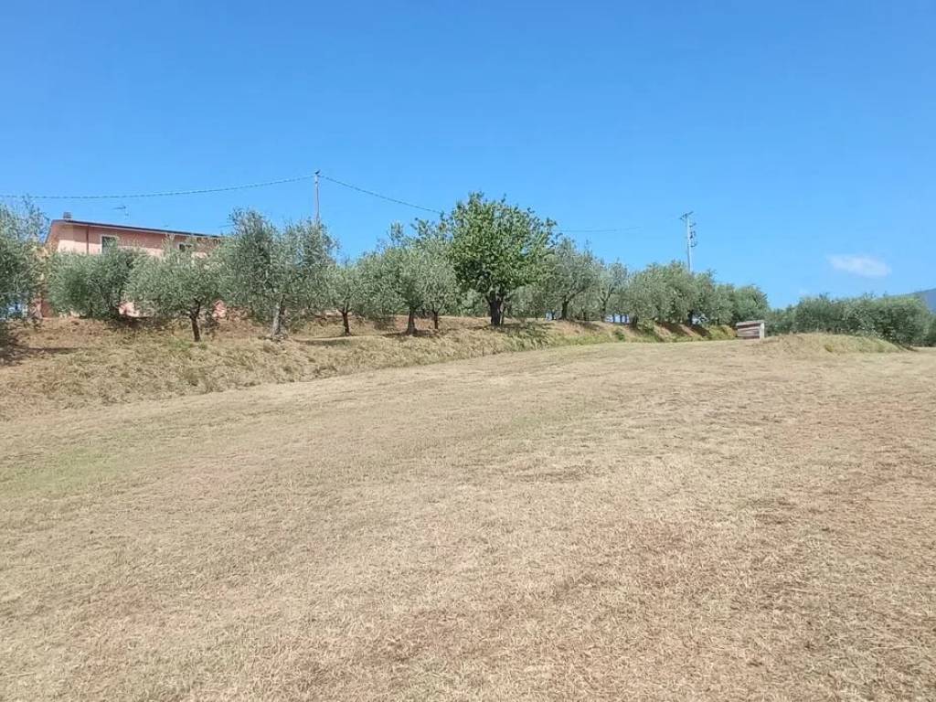 Terreno a Pescia in Via Delle Puzzole S.N.C. - Foto 3
