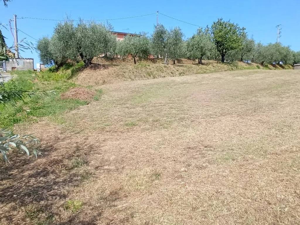 Terreno a Pescia in Via Delle Puzzole S.N.C. - Foto 4