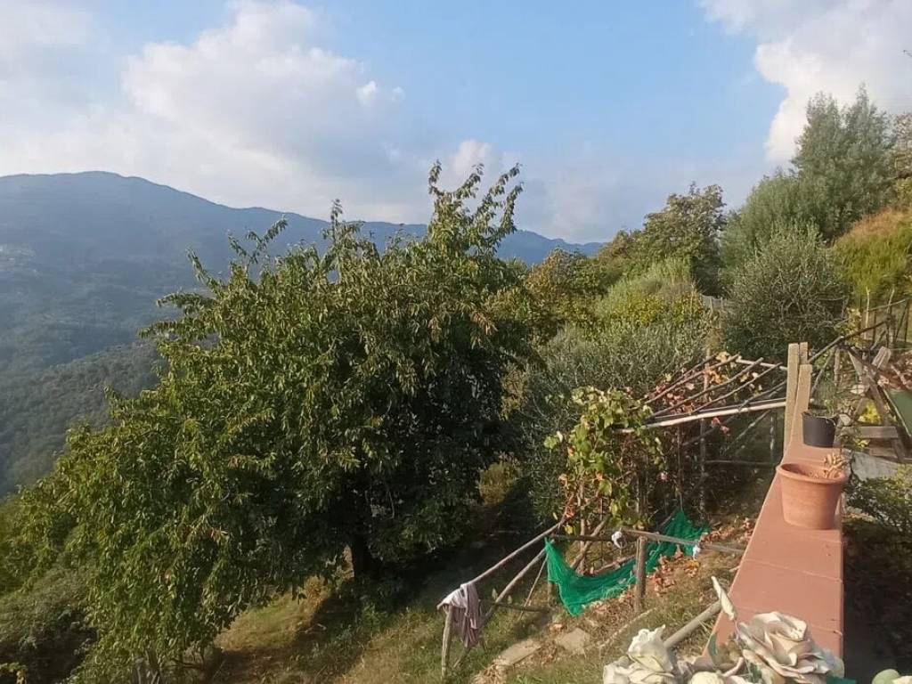 Villa a Pescia in Via Mammianese Nord S.N.C. - Foto 3
