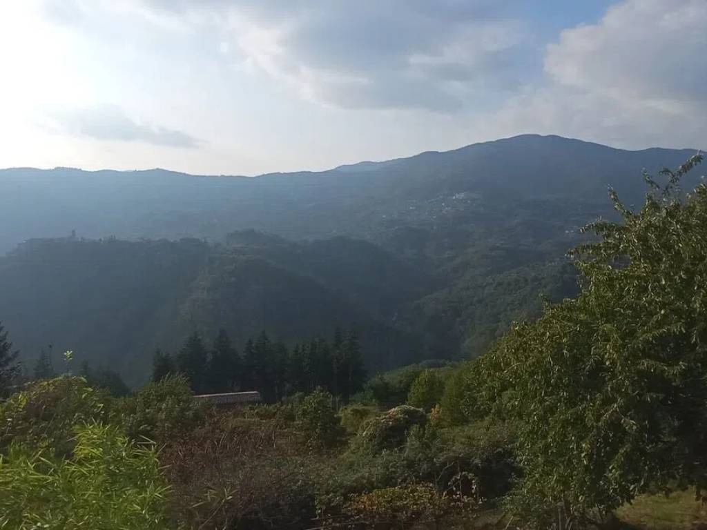 Villa a Pescia in Via Mammianese Nord S.N.C. - Foto 4