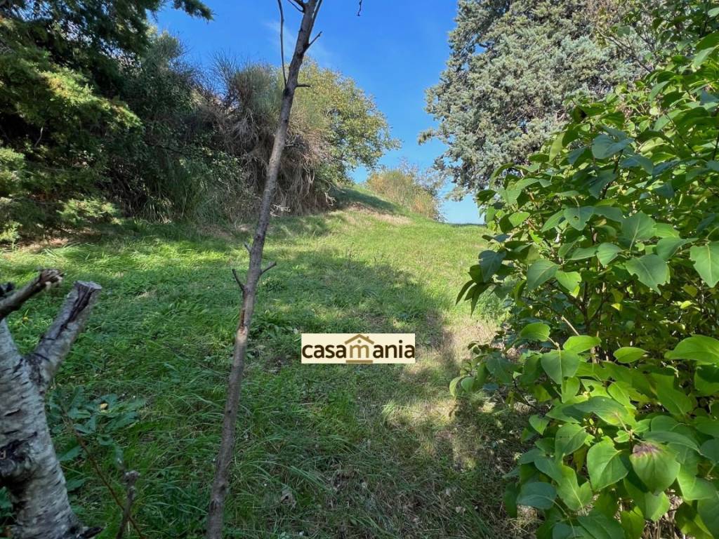 Rustico / casale a Pergola in Luchino - Foto 2