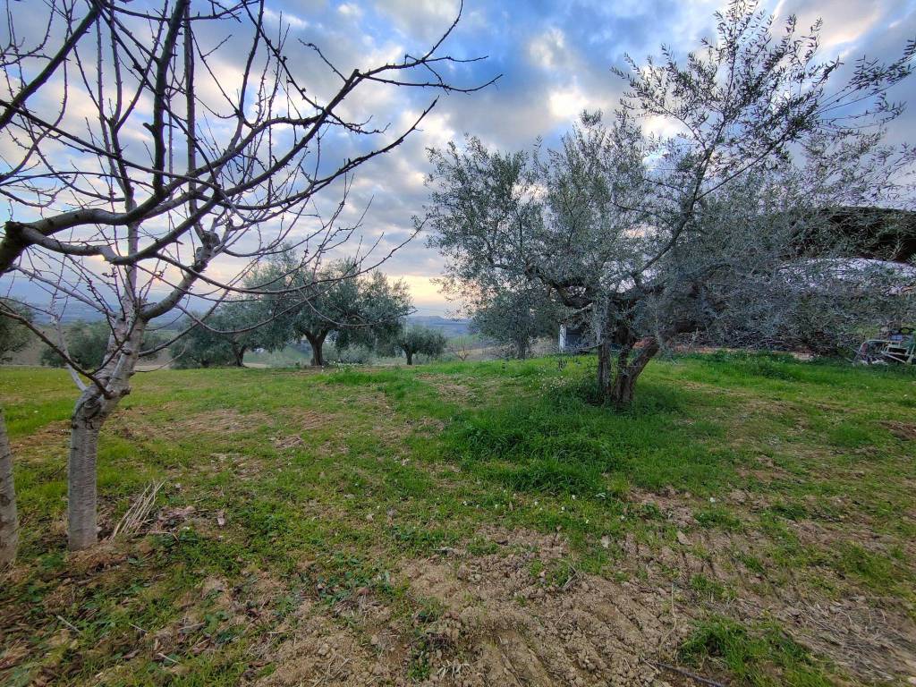 Villa a Pianella in Contrada Collecincero - Foto 2