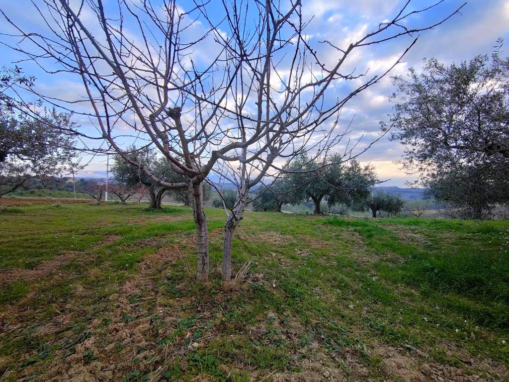 Villa a Pianella in Contrada Collecincero - Foto 4