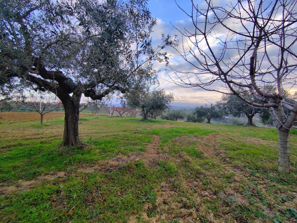 Villa a Pianella in Contrada Collecincero - Foto 5
