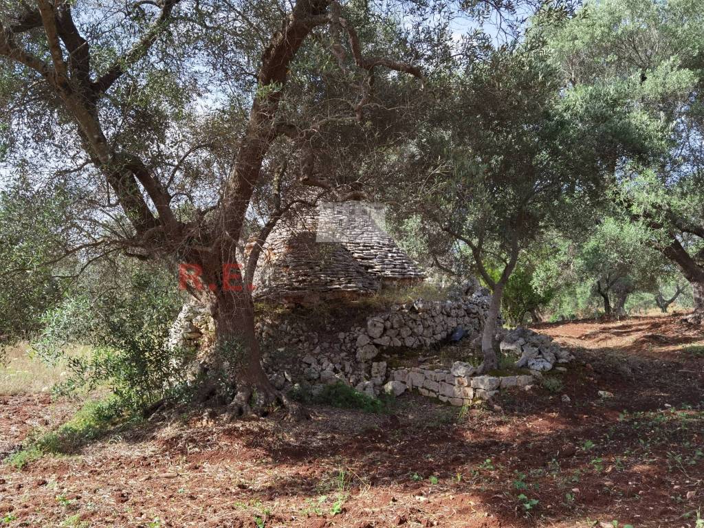 Rustico / casale a Ceglie messapica - Foto 5