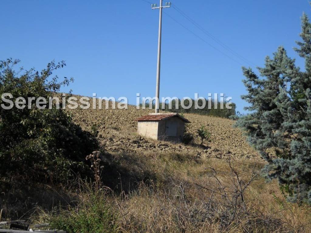 Rustico / casale a Vallefoglia - Foto 5