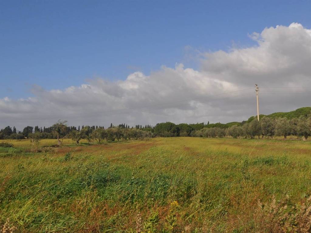 Villa a Rosignano marittimo in Stradone del Tripesce - Foto 5