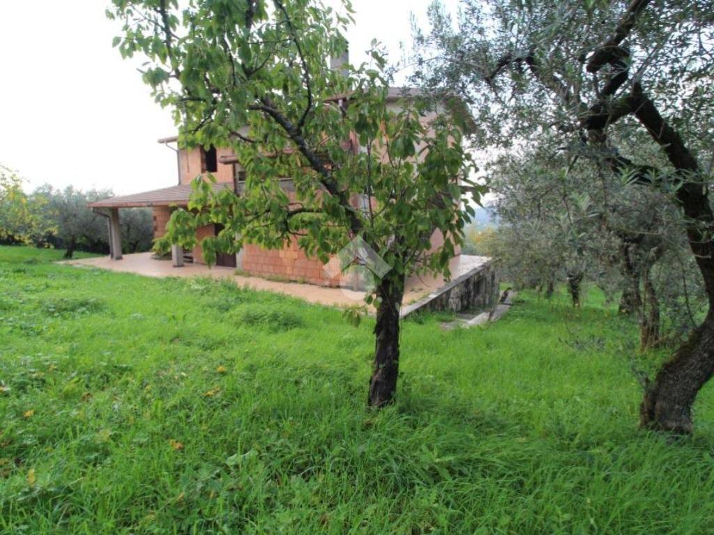 Villa a Scandriglia in Viale Giosuè Carducci, 77 - Foto 3