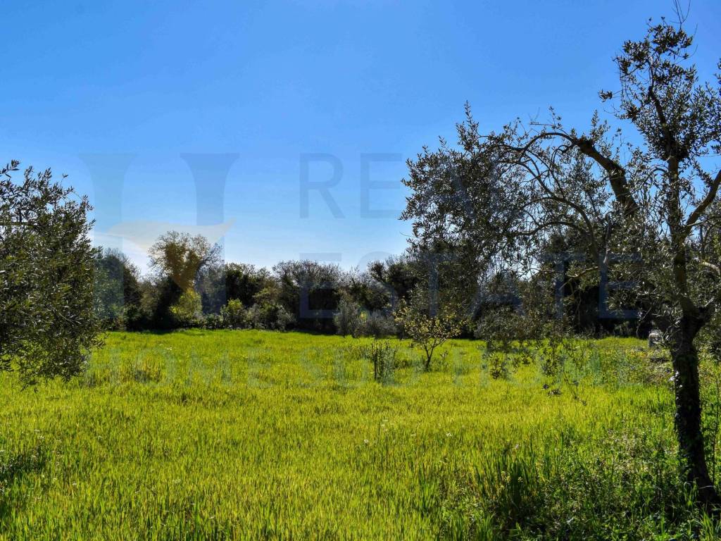 Rustico / casale a Noto in Contrada Fiumara - Foto 3