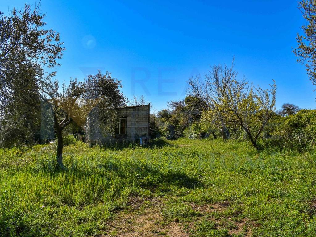 Rustico / casale a Noto in Contrada Fiumara - Foto 4