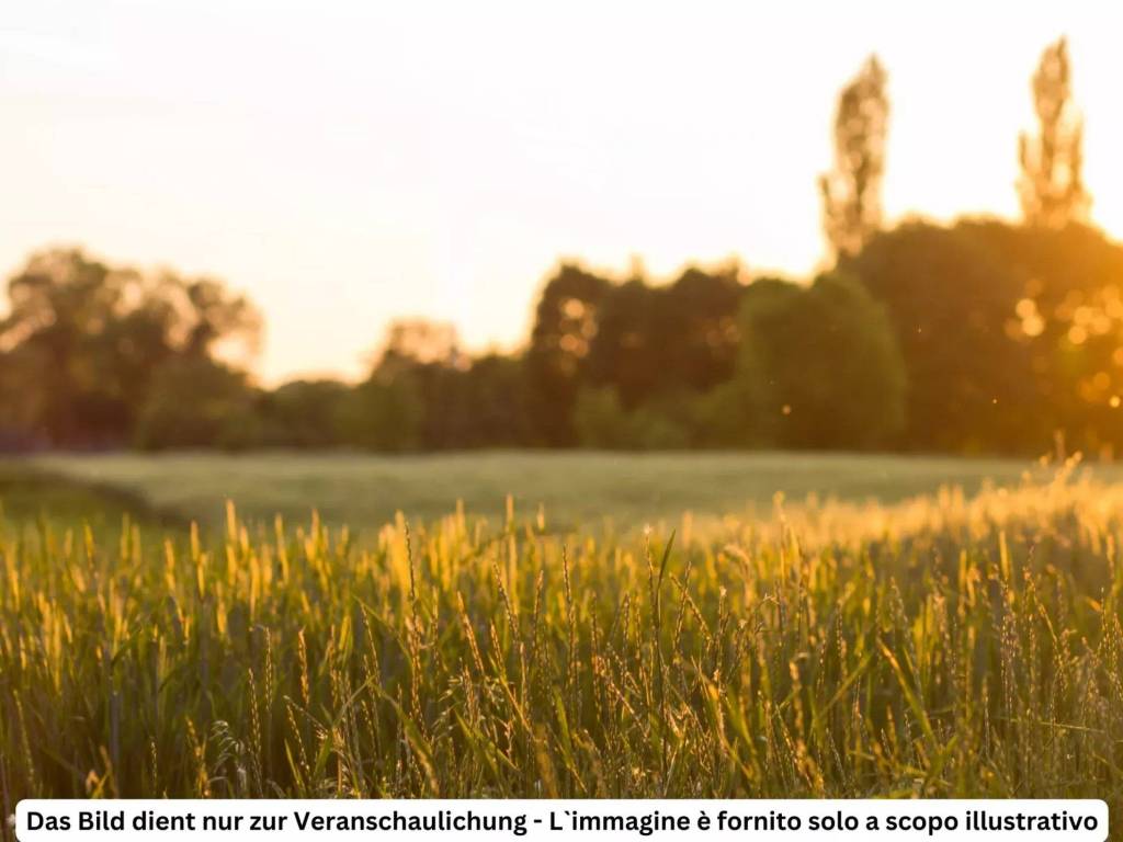 Terreno a Predaia in Vervò - Foto 4