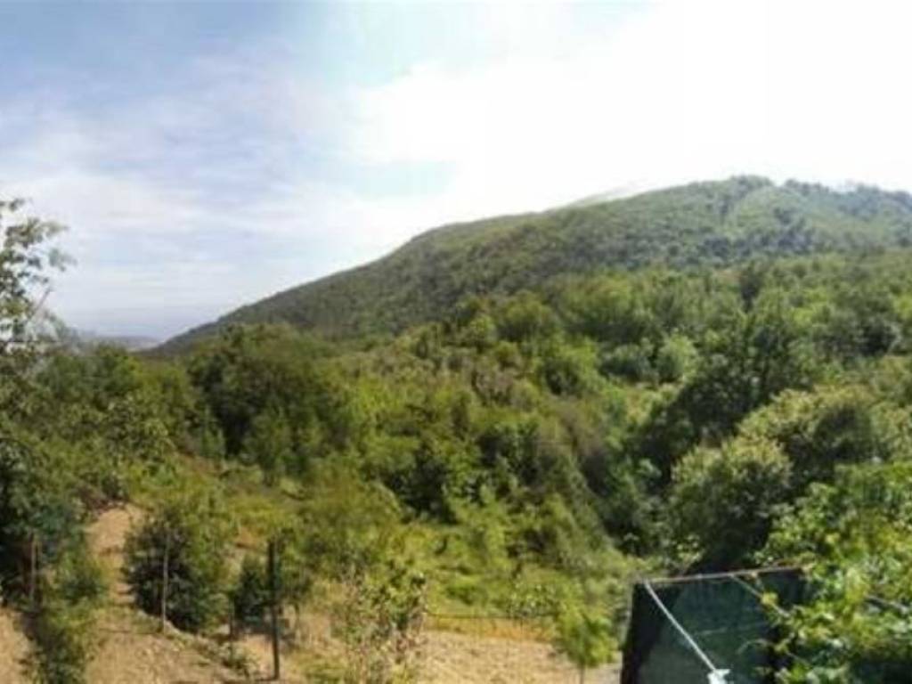 Appartamento a Andora in Strada San Giovanni Rollo, 53 -43 - Foto 5