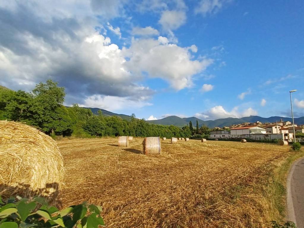 Terreno a Amaseno in località Pantano - Foto 2