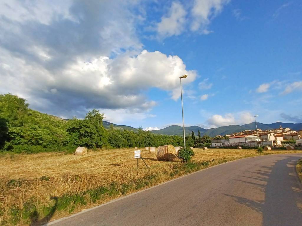 Terreno a Amaseno in località Pantano - Foto 3
