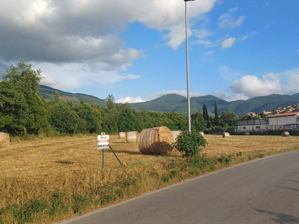 Terreno a Amaseno in località Pantano - Foto 4