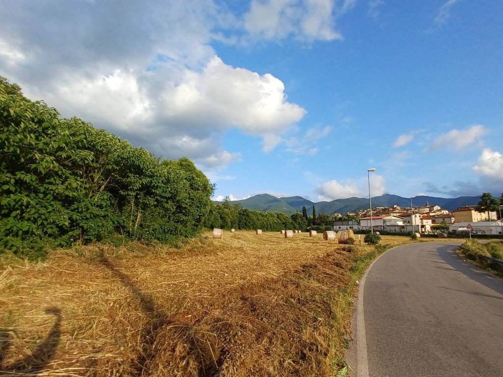 Terreno a Amaseno in località Pantano - Foto 5