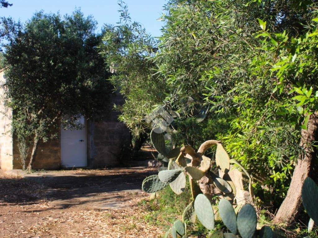 Rustico / casale a Carovigno in Contrada contrada Catanzani - Foto 2