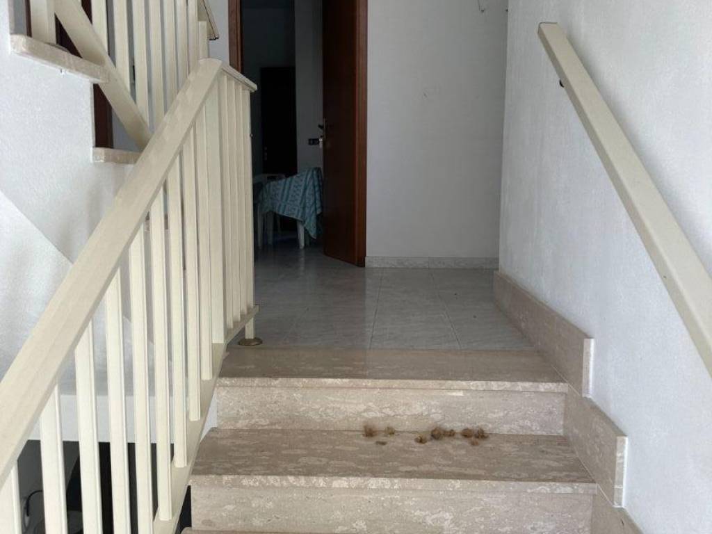 Casa indipendente a Briatico in SS522 - Foto 5