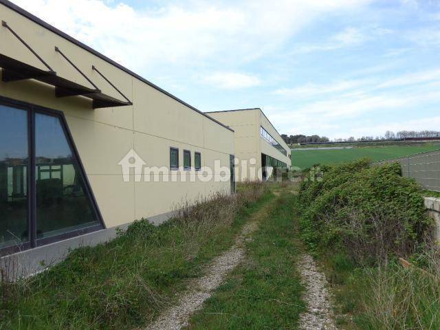 Immobile a Montemarciano in Via Marina, 43 - Foto 3