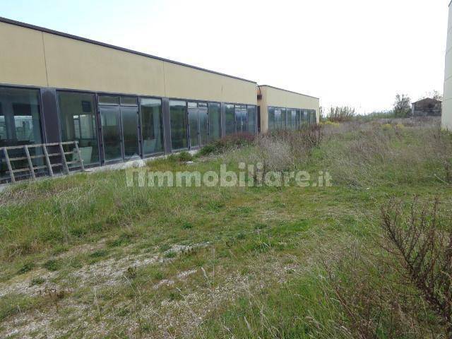 Immobile a Montemarciano in Via Marina, 43 - Foto 5