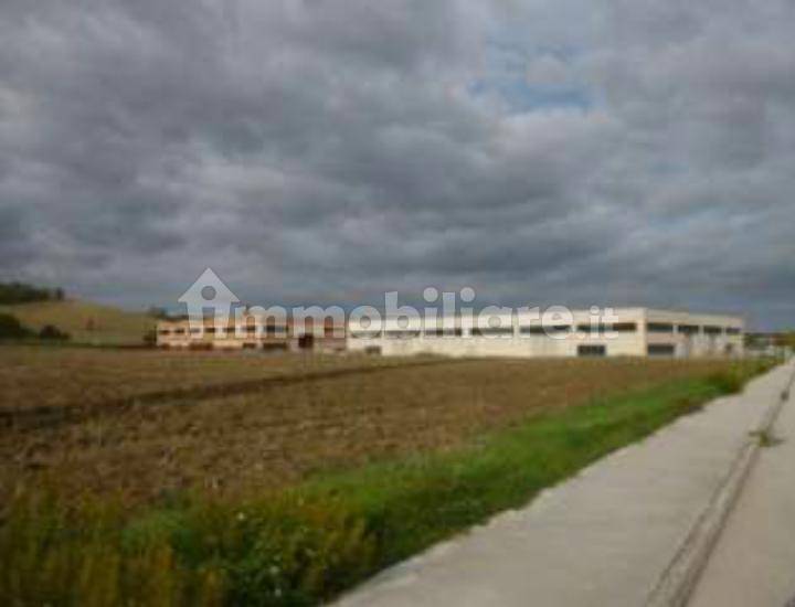 Terreno a Ostra vetere in Contrada Piani d'Appresso - Foto 2