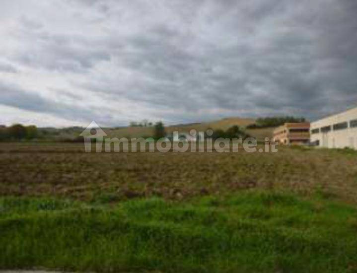 Terreno a Ostra vetere in Contrada Piani d'Appresso - Foto 3