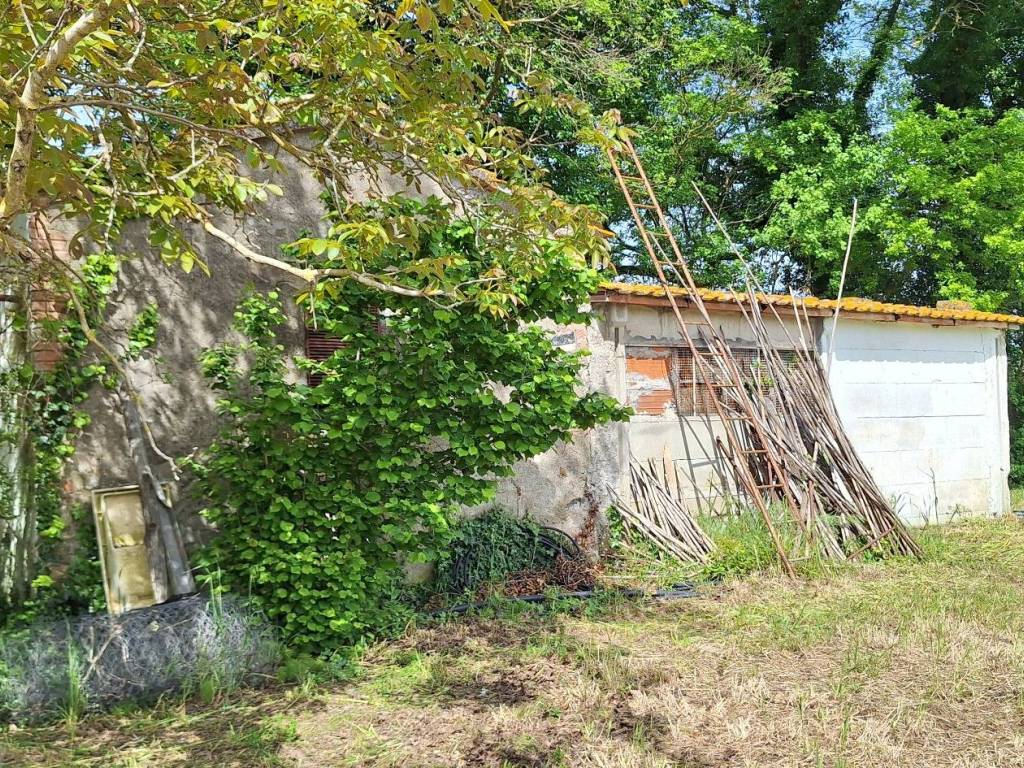 Rustico / casale a Castiglione della pescaia in Strada dell'Agnone - Foto 3