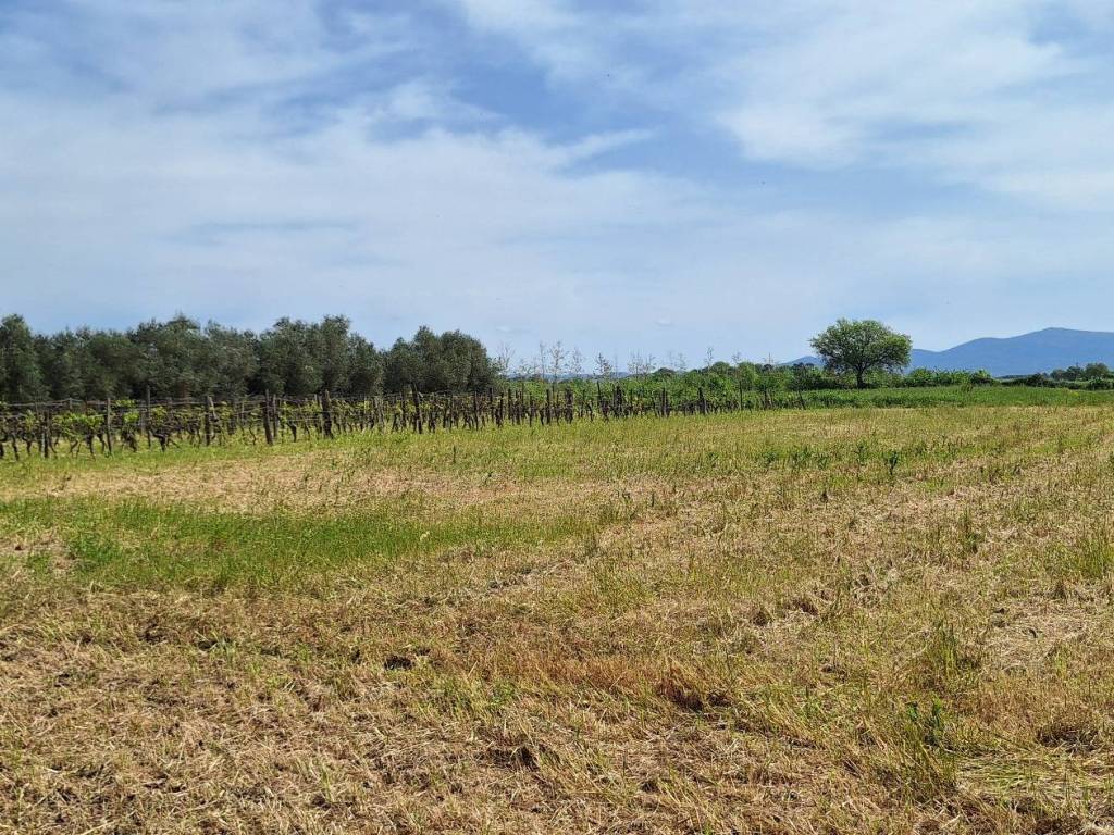 Rustico / casale a Castiglione della pescaia in Strada dell'Agnone - Foto 5