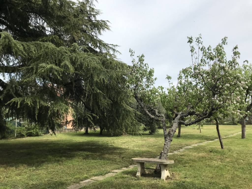Casa indipendente a Mondolfo in Via Val Cesano - Foto 2