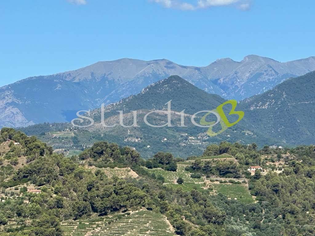 Terreno a Vallebona in Strada Maciurina, snc - Foto 3