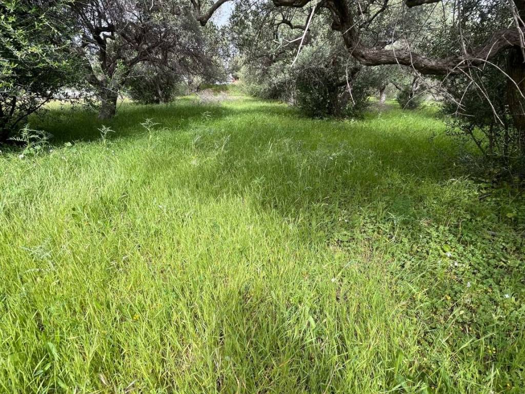 Terreno a Santa flavia in Contrada Bellacera - Foto 1