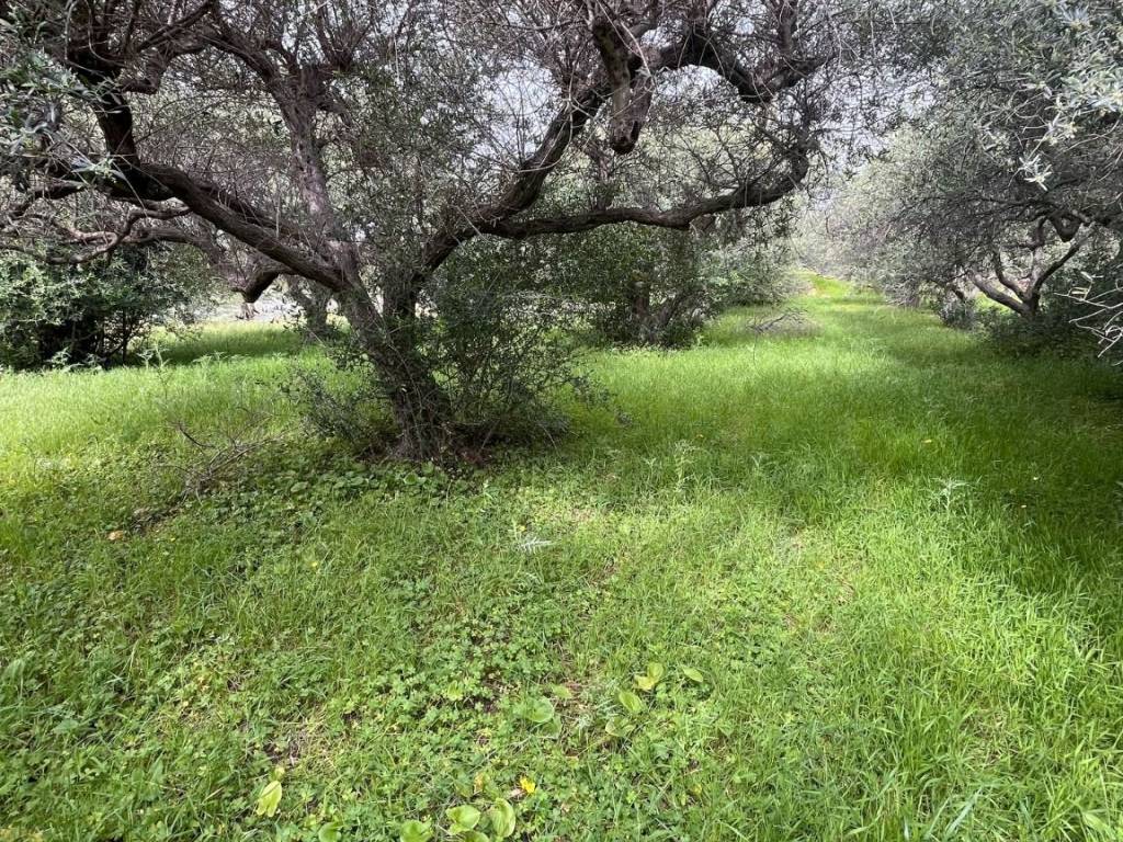 Terreno a Santa flavia in Contrada Bellacera - Foto 2
