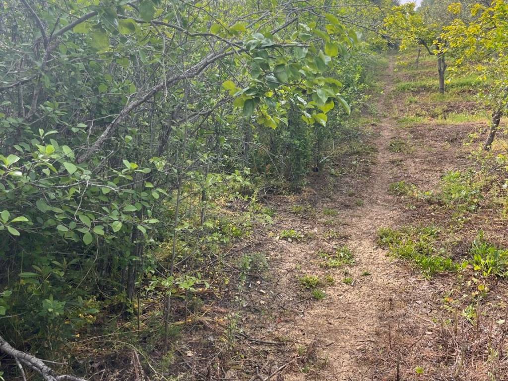 Terreno a Santa flavia in Contrada Bellacera - Foto 3