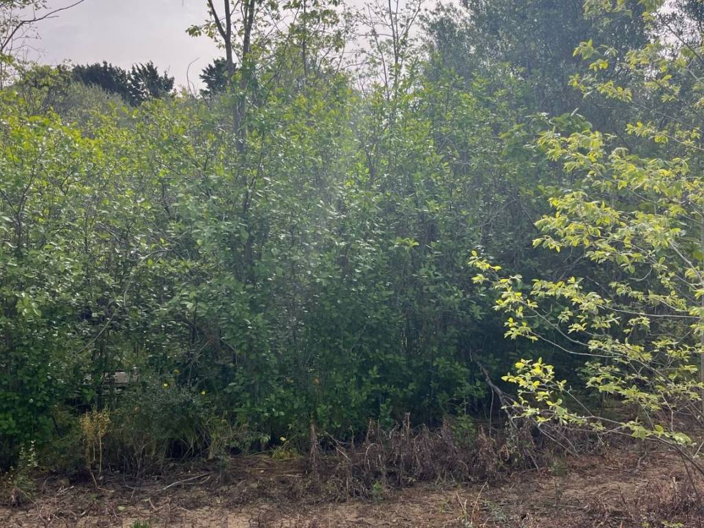 Terreno a Santa flavia in Contrada Bellacera - Foto 5