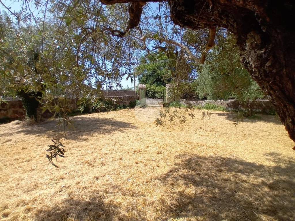 Rustico / casale a Castel sant'elia in Via del Giardino - Foto 4