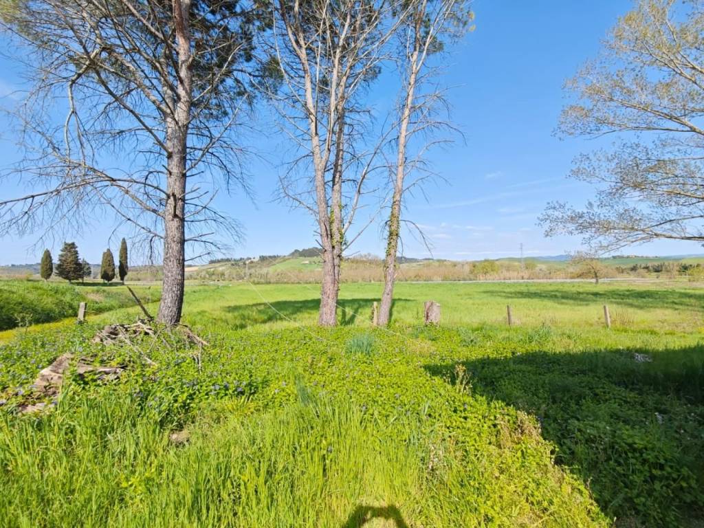 Casa indipendente a Lajatico in SS - Foto 5