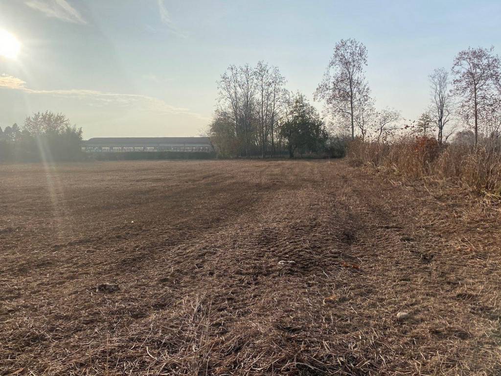 Terreno a Rossano veneto - Foto 2