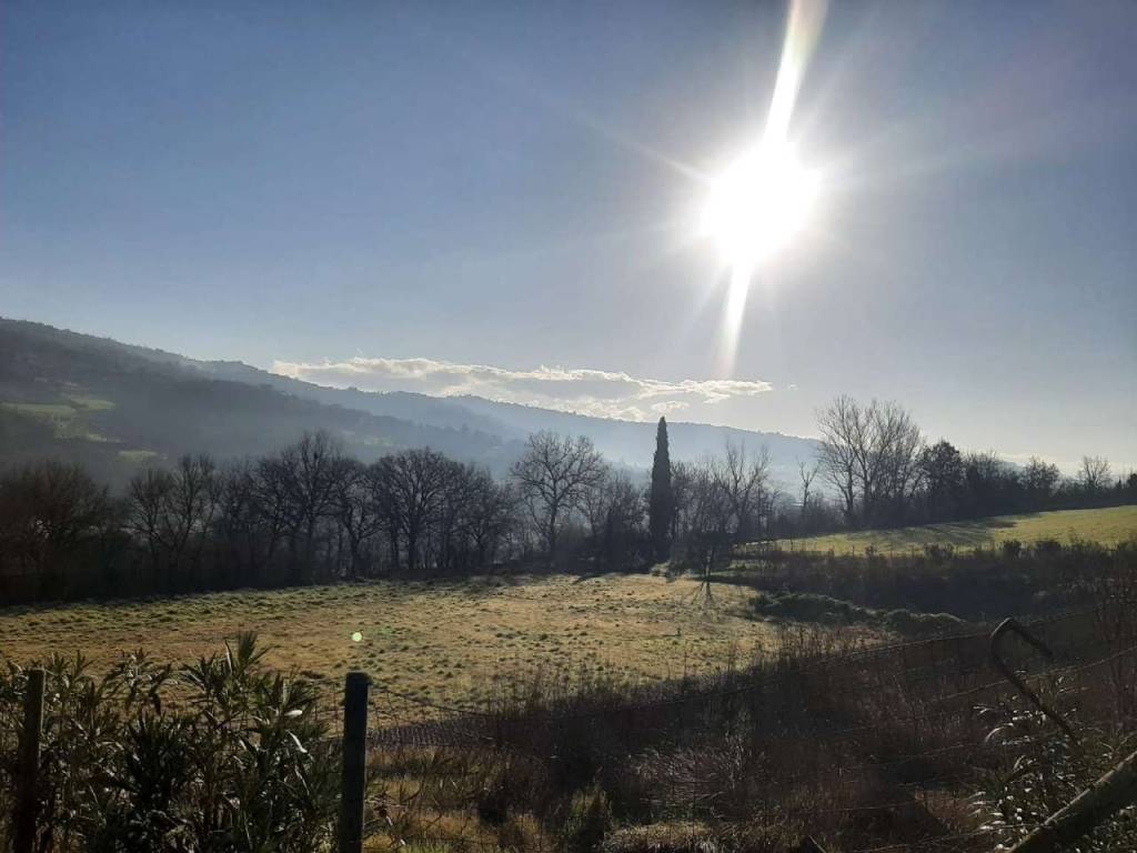 Terreno a Apice in viale Della Libertà Snc - Foto 4
