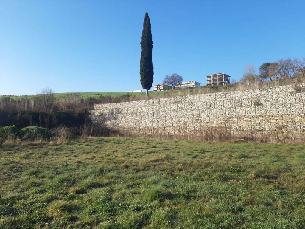 Terreno a Apice in viale Della Libertà Snc - Foto 5