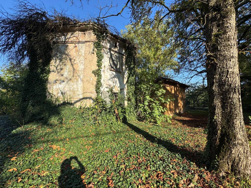 Rustico / casale a Scandiano in Via Brolo Sopra - Foto 3