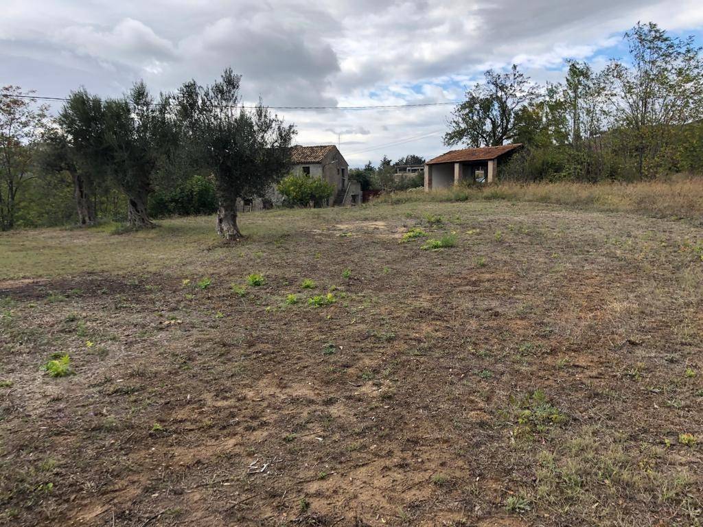 Villa a Notaresco in LOCALITA CAPRACCHIA - Foto 3