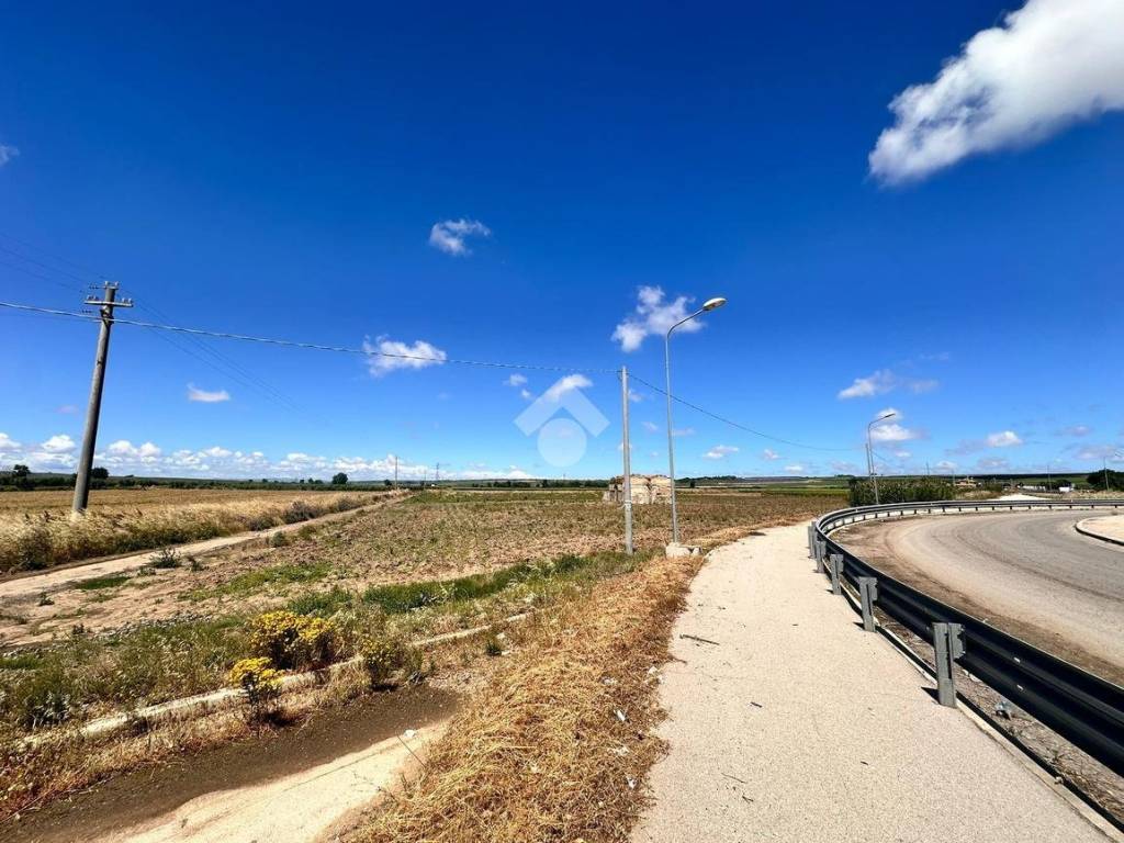 Terreno a San severo in Contrada Pezza Imperiale - Foto 3