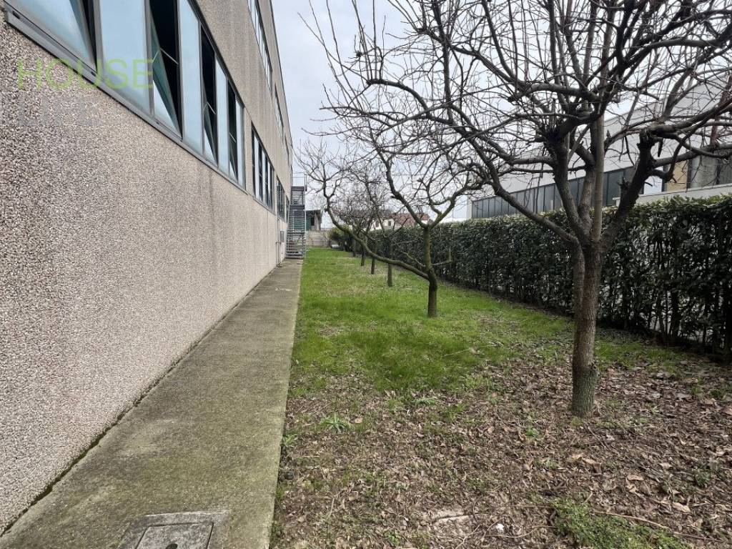 Immobile a Minerbe in Via dell'agricoltura 29 - Foto 3