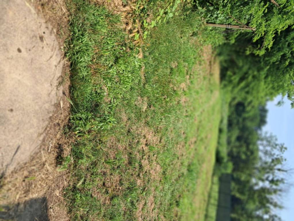 Rustico / casale a Brebbia in Via Vittorio Veneto - Foto 3