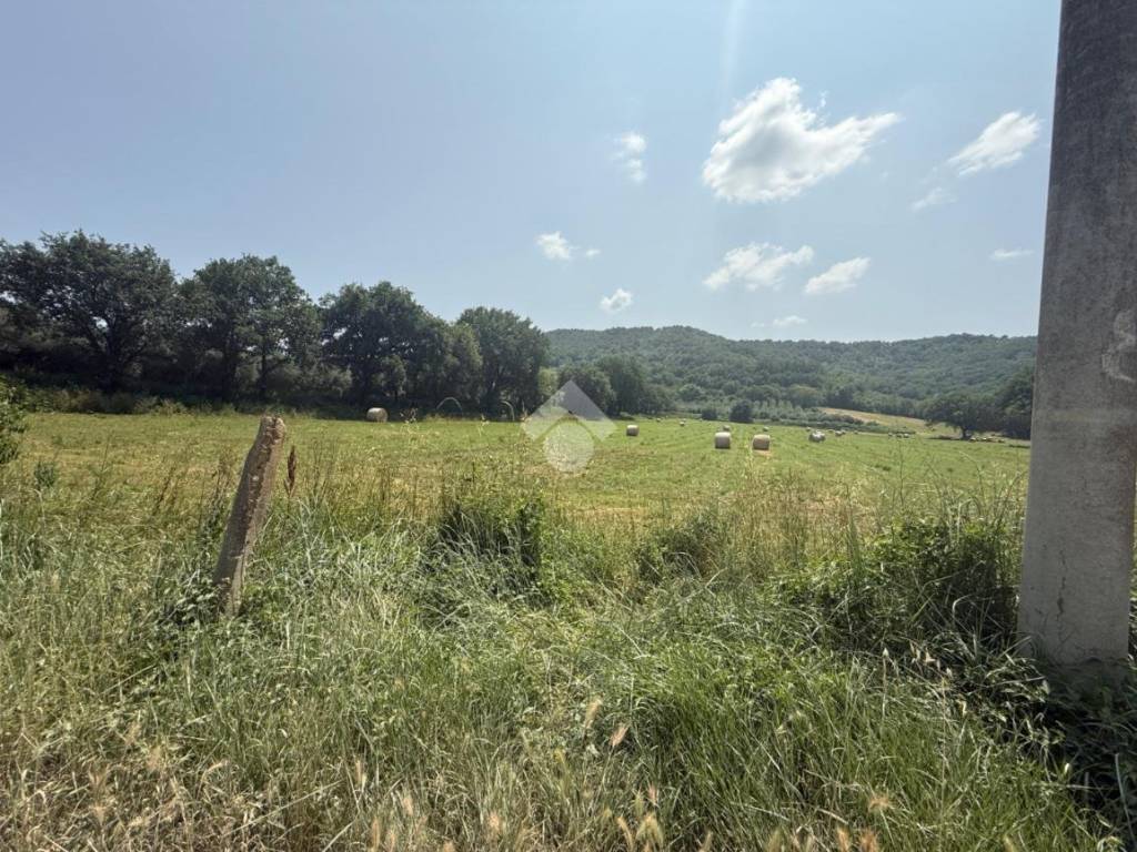 Terreno a Orte in Vocabolo bagno - Foto 2